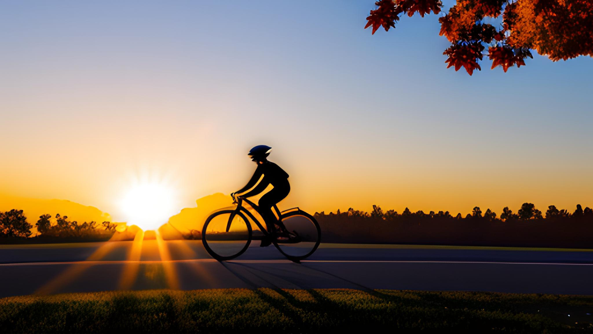 graphic of a cyclist with a sunset behind them